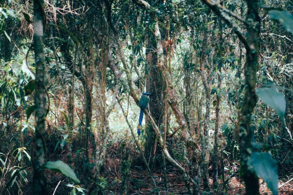 Medellín Waterfall: Hike and Discover Medellín's Nature - Accessibility and Skill Levels