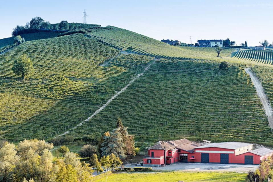 Monferrato: Garetto Wine Estate Tour and Picnic - Recap