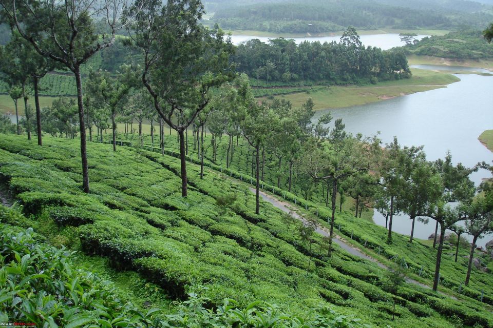 Munnar Private Day Trip - Customer Feedback