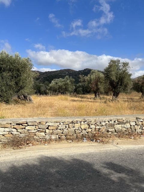 Naxos: Private E-Bike Tour With Wine Tasting Inland Methexis - Booking Information