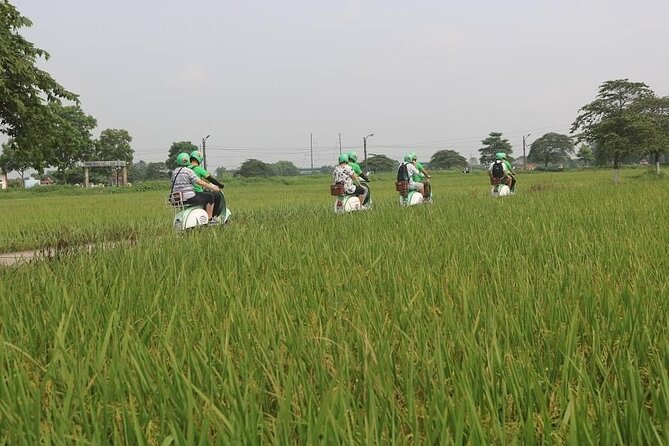 Ninh Binh Vespa Start From Hanoi + Boat + Villages +Rice Paddies - Booking and Payment Options