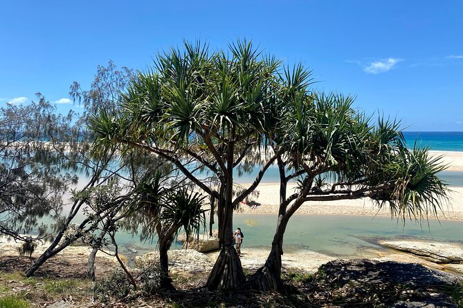 North Stradbroke Island SUNSET Tour - Tips for a Great Experience