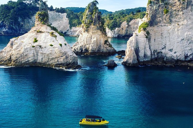 Ocean Leopard Tours - Cathedral Cove Boat Tour - Exploring Cathedral Cove