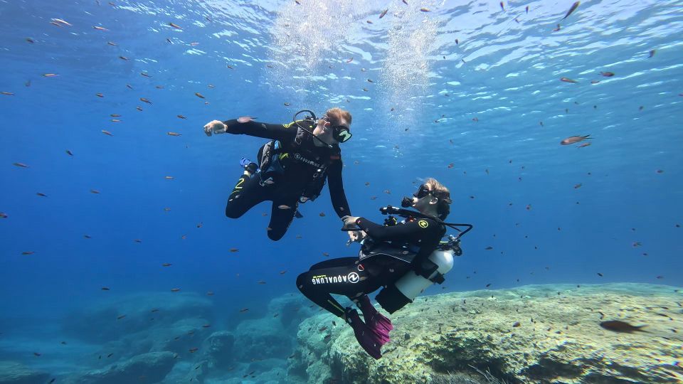 PADI Scuba Diving Program for Beginners in Peloponesse - Program Duration and Pricing