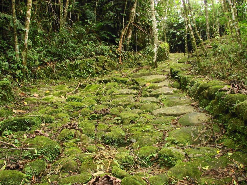 Paraty: Gold Trail Rainforest Hiking Tour - Practical Information for Visitors