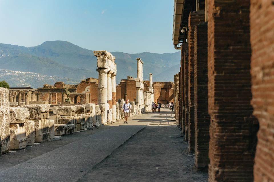 Pompeii: Archaeological Park Tour With Ticket on Request - Accessibility and Tips