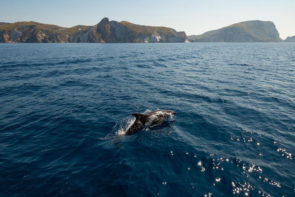 Ponza: Island & Palmarola Cruise With Swimming & Lunch - Frequently Asked Questions