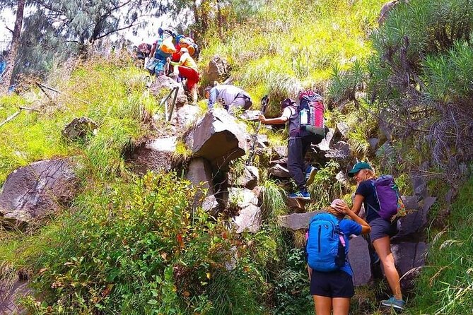 Popular Rinjani Trekking Tour Service To Summit For 2 Days Via Sembalun Trail - Pricing and Booking Information