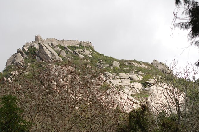 Private 1 Hour Sintra Guided Tour - Tips for Your Tour