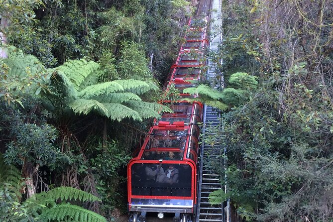 PRIVATE Blue Mountains Day Tour From Sydney With Wildlife Park and River Cruise - Accessibility and Considerations