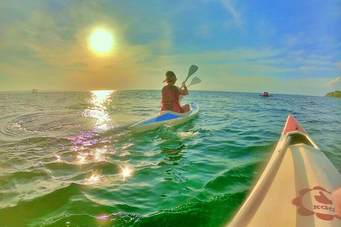 [Private Charter] SEA-KAYAKING Along HALF-MOON BAY & SUNSET DRIFTING & DINNER - Customer Reviews