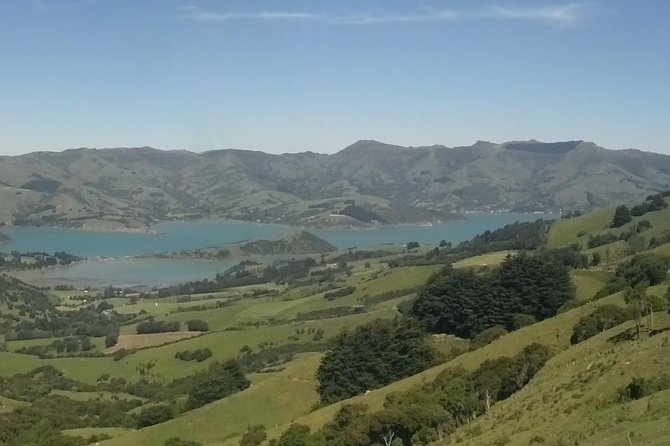 Private Day Scenic Excursion to Akaroa/Christchurch Ex Lyttelton - Customer Experience