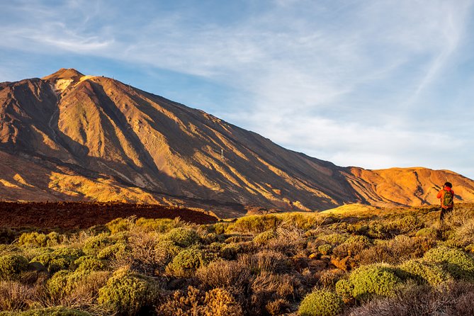 Private Excursion to Teide National Park - Scenic Features of Teide