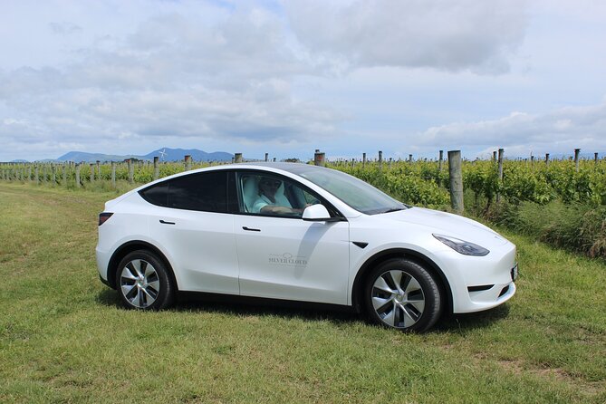 Private Martinborough Wine Tour in an Electric Vehicle - Tesla Model Y - Sustainable Travel With Tesla Model Y