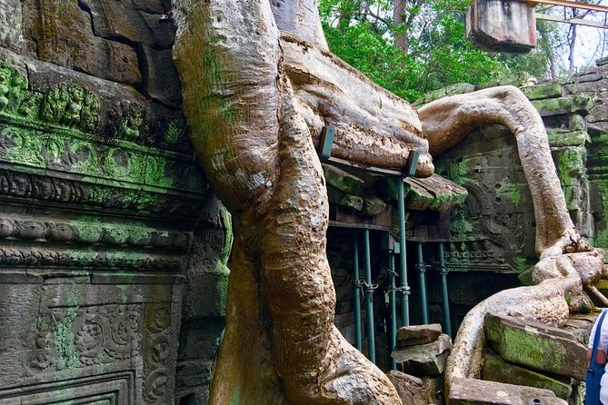 Private Siem Reap 4 Days Highlight of Angkor Complex Tour - Customer Reviews and Ratings