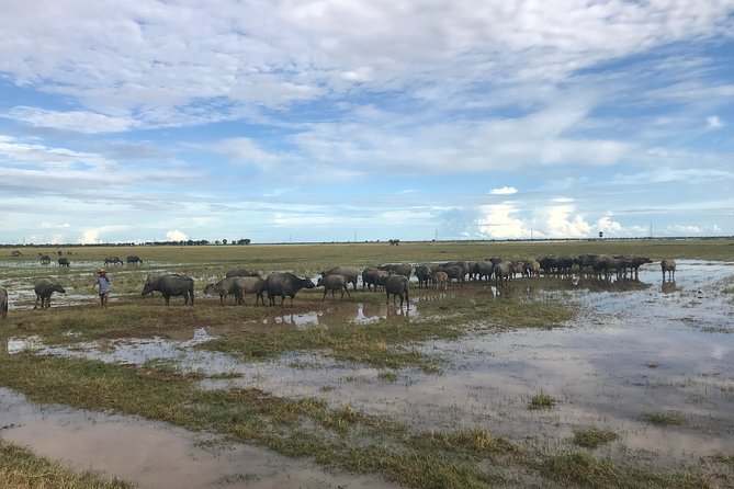 Private Siem Reap Countryside Tour by Jeep With Local Food Experience - Important Tour Information