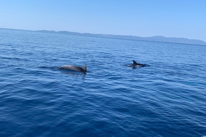 Private Speedboat Tour From Trogir or Split-Create Your Itinerary - Booking and Cancellation Policy