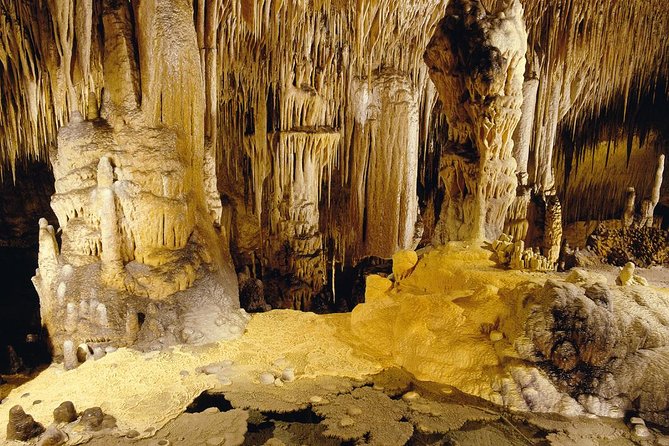 Private Tour: Mallorca Caves of Drach and Majorica Pearl Factory - Tips for a Great Experience