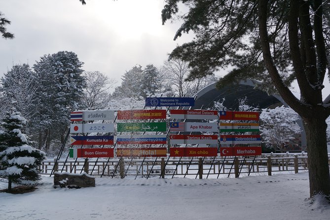 Private Tour: Nami Island & (Alpaca World or Morning Calm) - Tips for Travelers