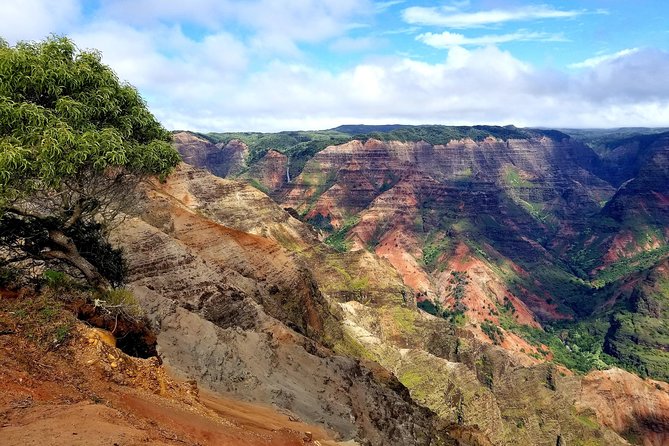 Private Waimea Canyon Tour - Guest Reviews and Ratings