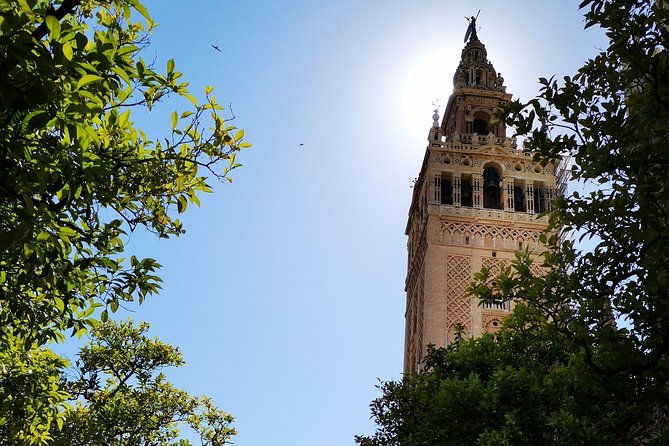 Private Walking Tour in Seville City Center - Customer Reviews and Feedback