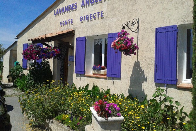 Provence Lavender Fields Tour in Valensole From Marseille - Best Time to Visit