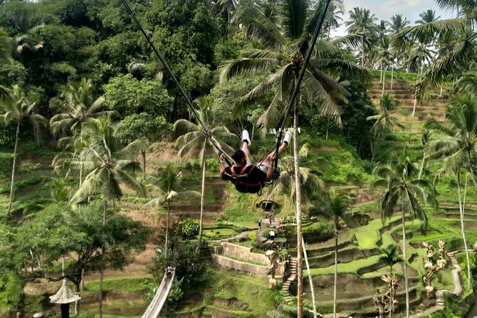 Purification Temple Ubud Village Scenic Private Guided Tour - Pricing Details