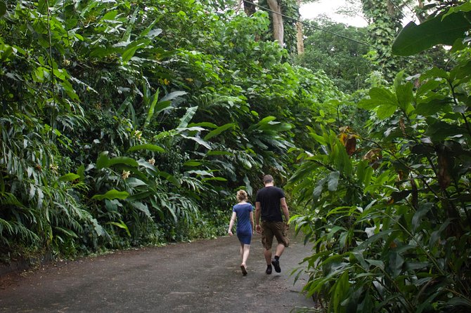 Rainforest Waterfall Trail and Shuttle Service - Hiking Recommendations