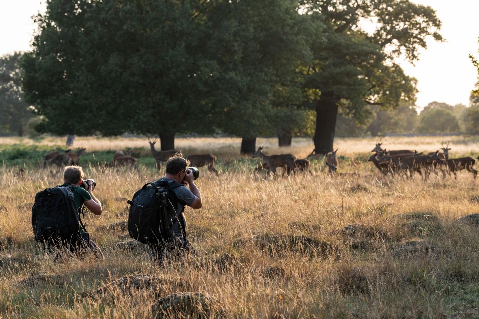 Richmond Park, London: Sunset Wildlife Photography Workshop - Location and Meeting Point