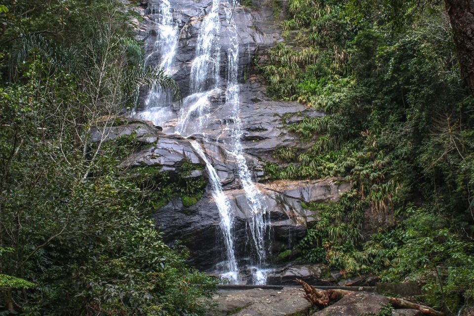 Rio De Janeiro: Tijuca Forest Waterfall of Souls Hike - What to Expect