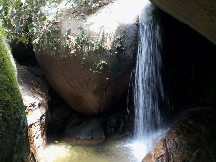 Rio De Janeiro: Tijuca National Park Ecotour - Practical Information