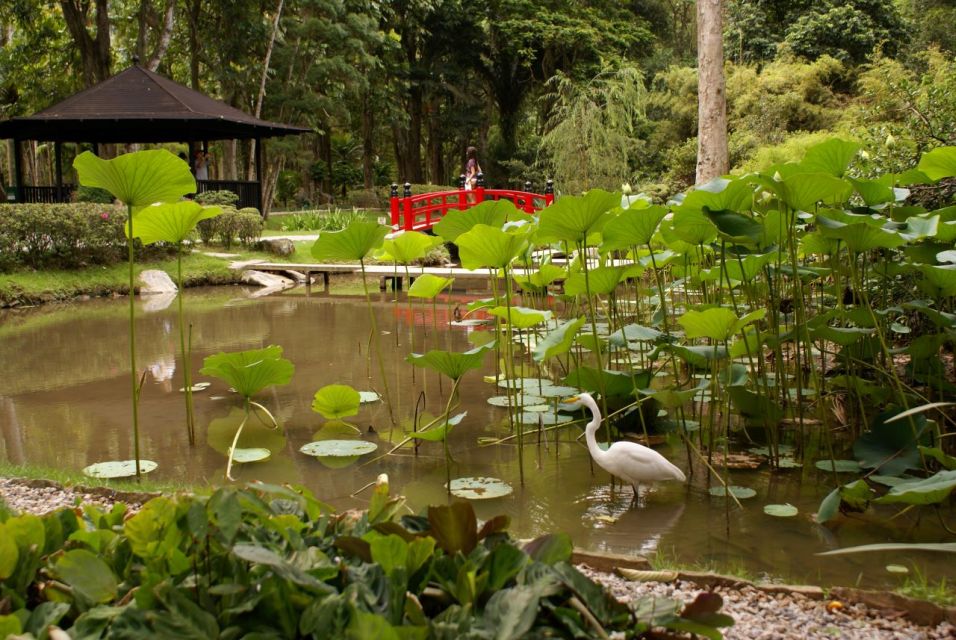 Rio: Jeep Tour to Botanical Garden and Tijuca Forest - Booking Information and Policies