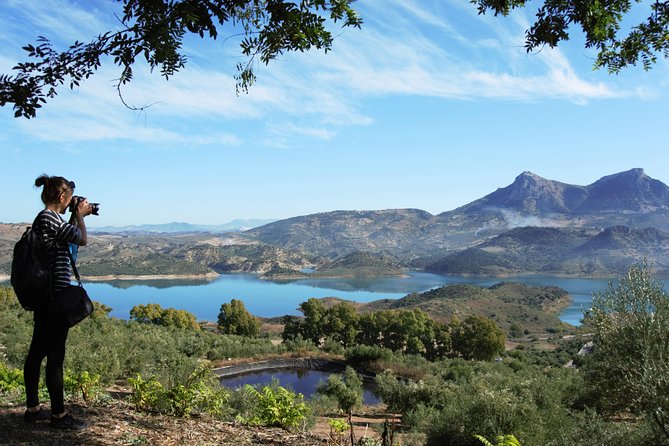 Ronda Private Tour From Seville - Recommended Local Attractions