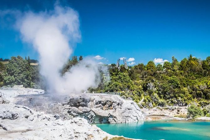 Rotorua Full Day Private Tour From Auckland - Itinerary Overview