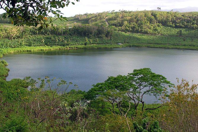 Rum Distilleries Tour (Clarke's Court &/ Water Powered River Antoine - Nearby Attractions to Explore