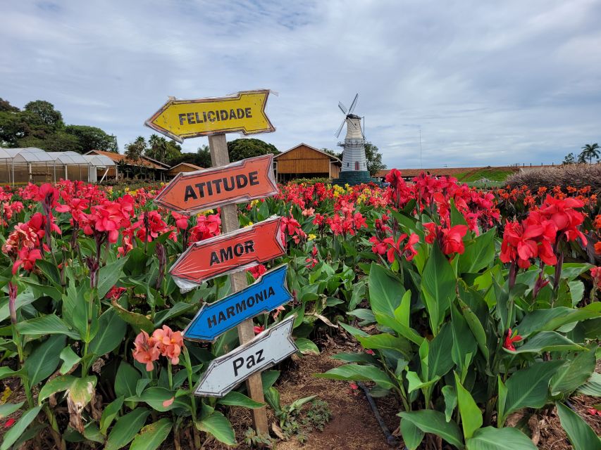 São Paulo: Holambra Colorful Flower Farm Guided Day Trip - Local Cuisine and Shops