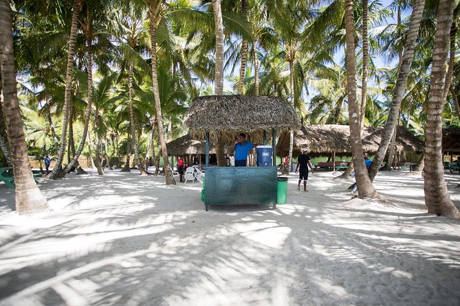 Saona Island Day Trip From Punta Cana With Lunch and Open Bar - Additional Activities and Options