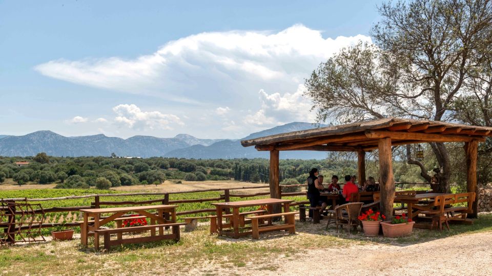 Sardinia: Dorgali Winery Tour With Tasting and Local Guide - Participant Restrictions