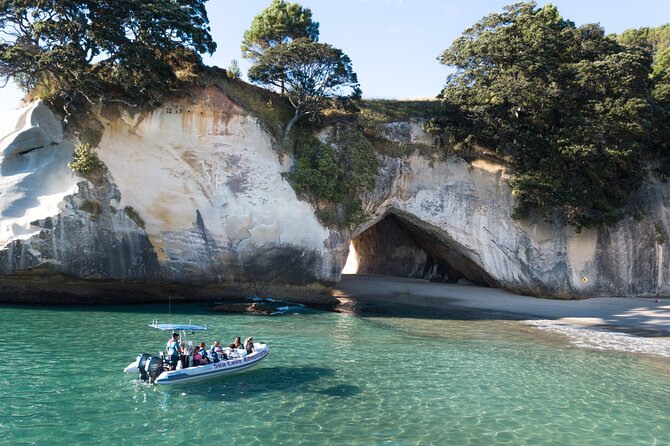 Sea Cave Adventures in Whitianga - What to Expect on the Tour