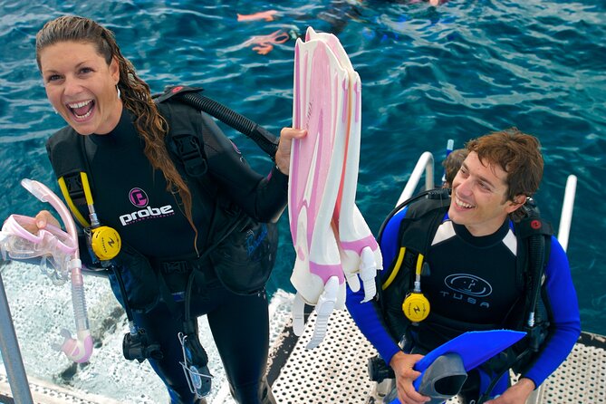 Silversonic Outer Great Barrier Reef Cruise From Port Douglas - Marine Life Encounters