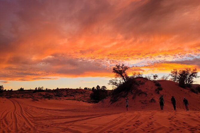 Slot Canyon Tour & Sandboarding UTV Adventure - Recommendations for Travelers