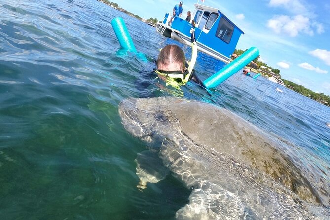 Small Group Manatee Snorkel Tour With In-Water Guide and Photographer - What to Bring