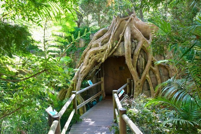 Springbrook Andtamborine Rainforest Tour Incl Natural Bridge and Glow Worm Cave - Booking Information and Cost