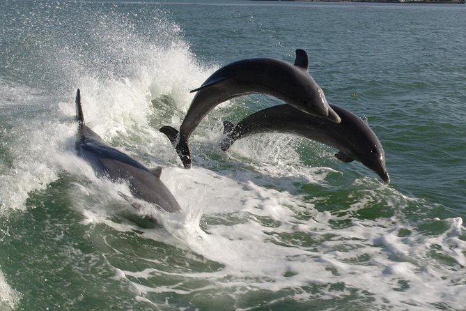 St. Pete Beach Dolphin Racer Speedboat Adventure - Final Thoughts on the Tour