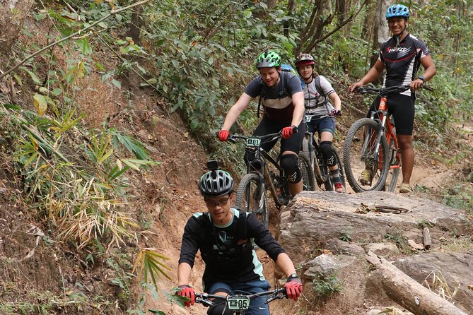 Stairway to Heaven Trail Mountain Biking Tour Chiang Mai - Customer Reviews and Feedback