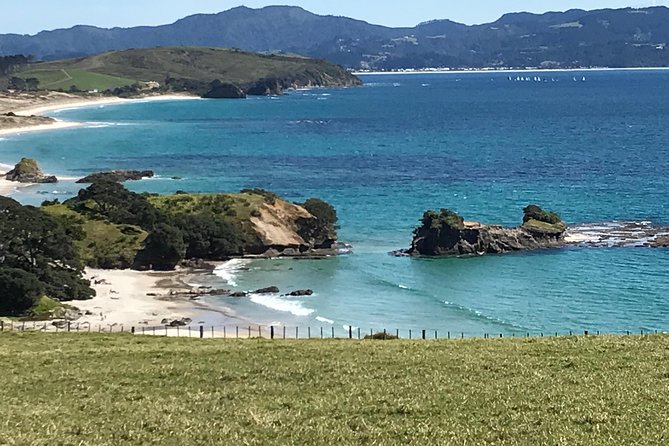 Stunning Auckland East Coast Walk & Wine Private Tour - Participation Guidelines