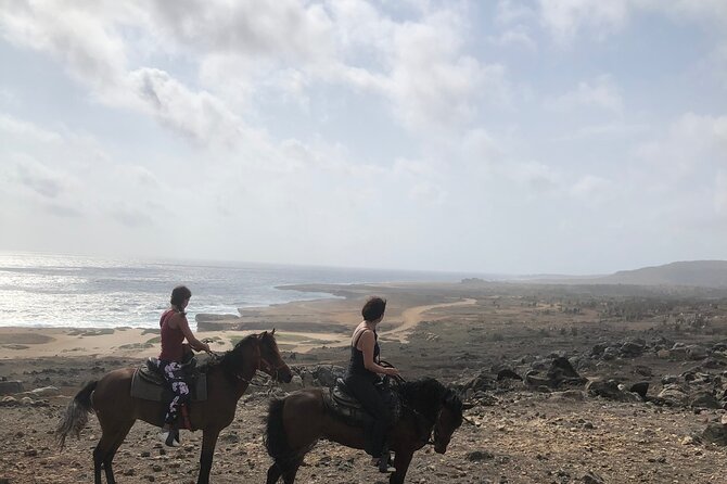 SunDown Private Horseback Ride Tour To Wariruri Beach - Tips for an Enjoyable Ride