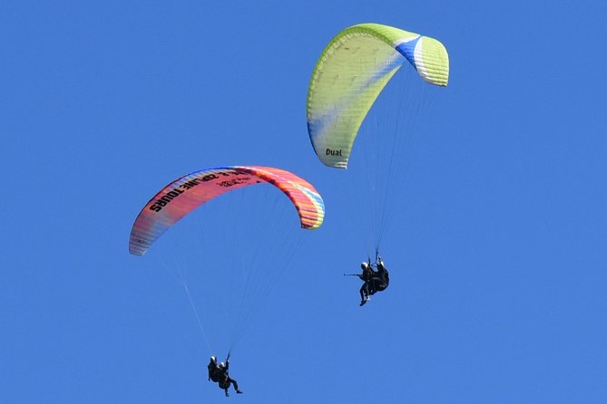 Tandem Paragliding Flights From Vik - Booking Your Adventure