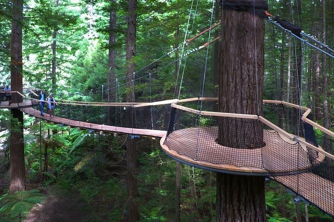 Tauranga-Rotorua: Canopy Tree Walk-Geysers: Private Tour. - Tips for Your Tour