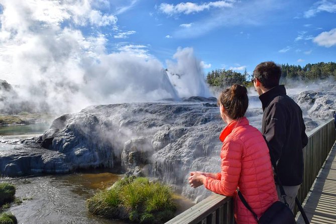 Tauranga - Rotorua. Te Puia Geysers. Private Shore Excursion - Cancellation Policy